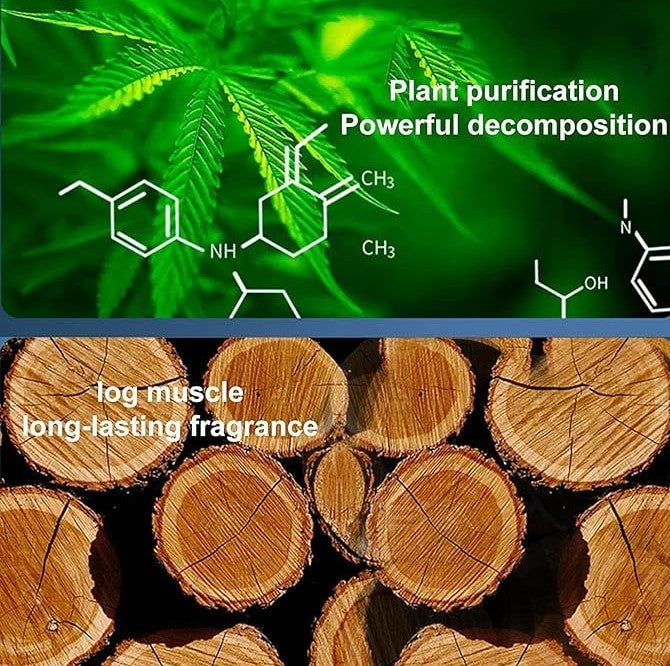 Solar Car Fragrance – Portable Air Freshener