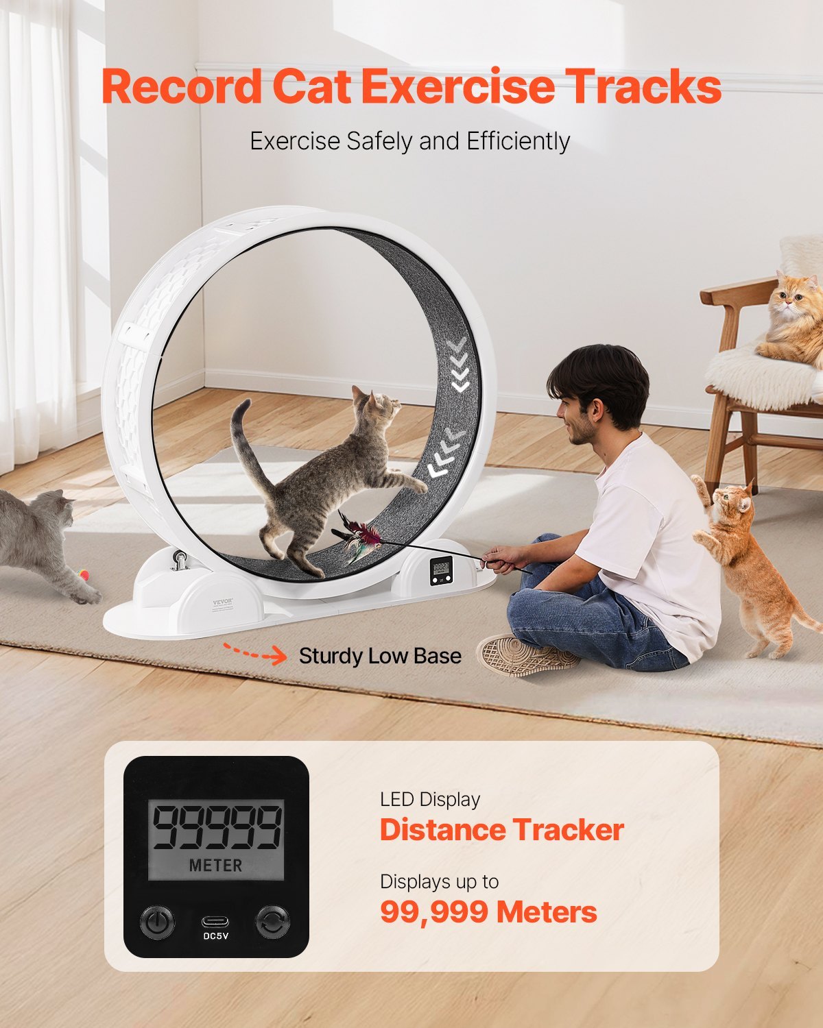 Cat Exercise Wheel