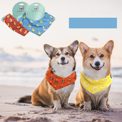 Pet Supplies