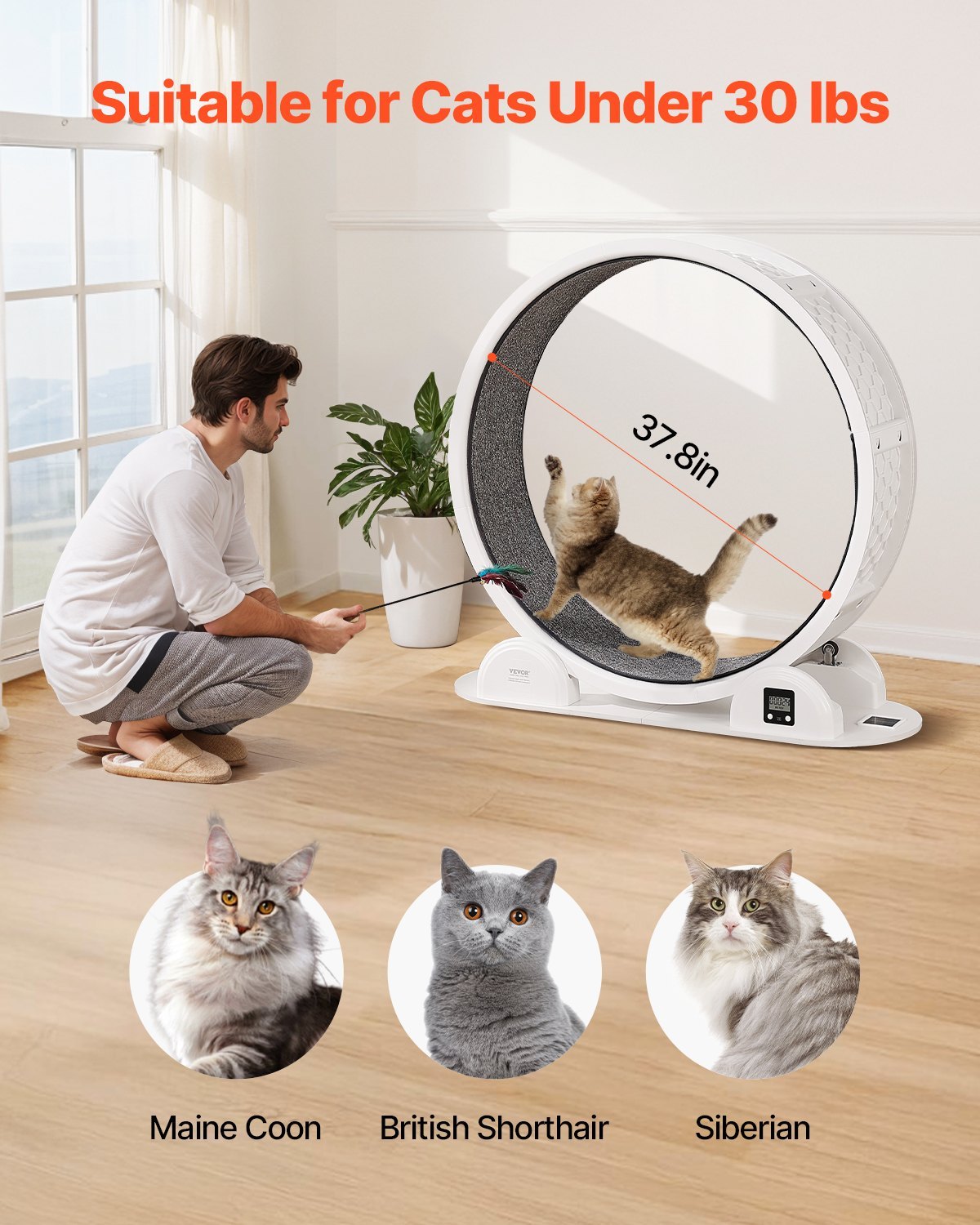 Cat Exercise Wheel