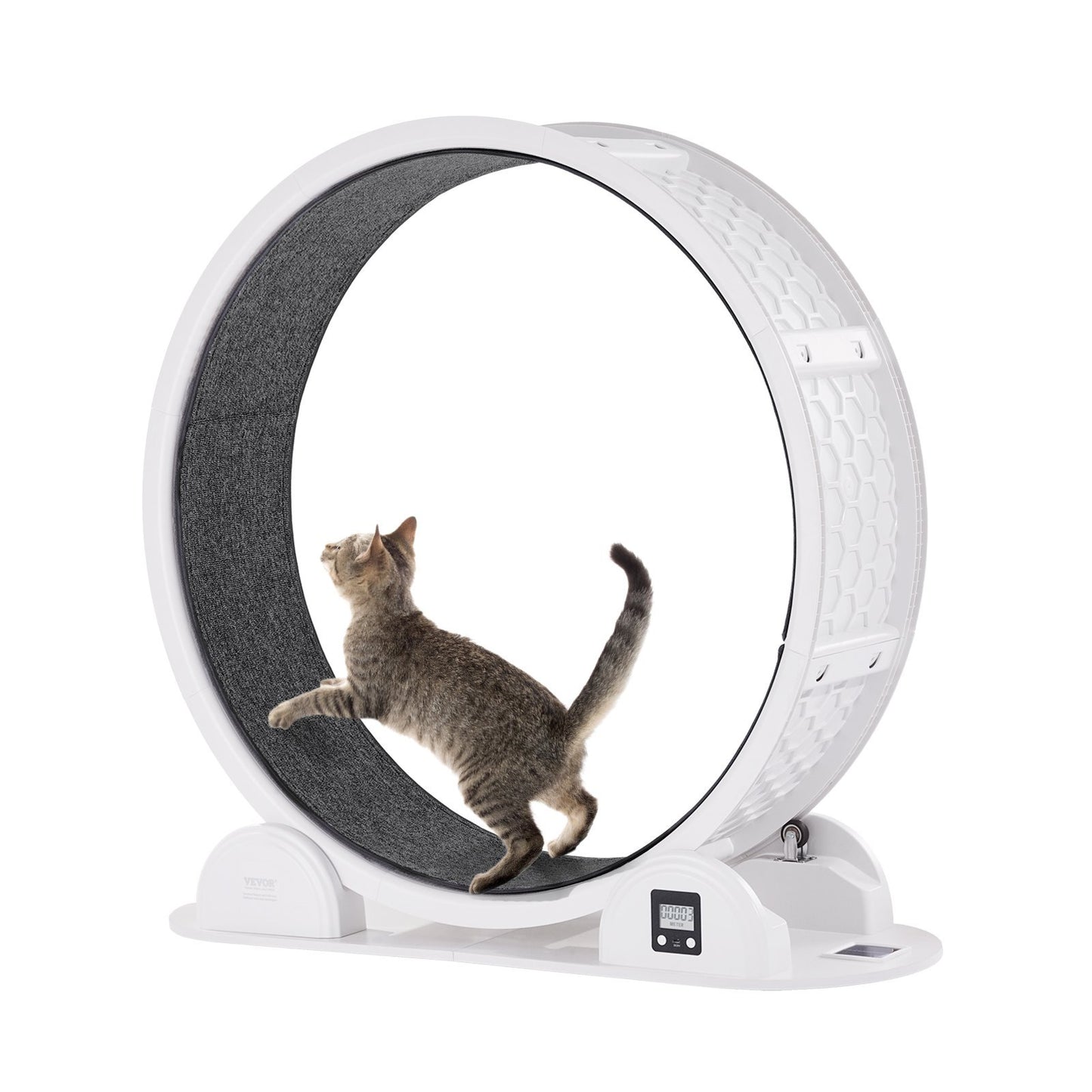 Cat Exercise Wheel